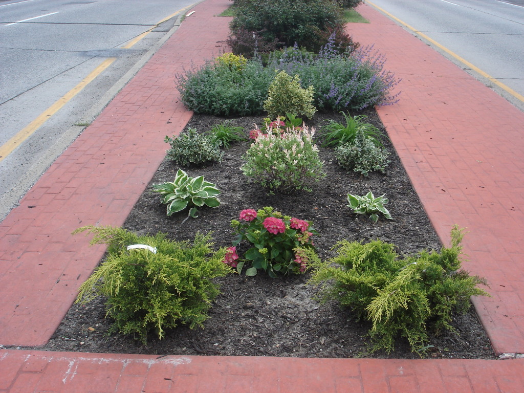 Broadway_Median_5-18-11_001